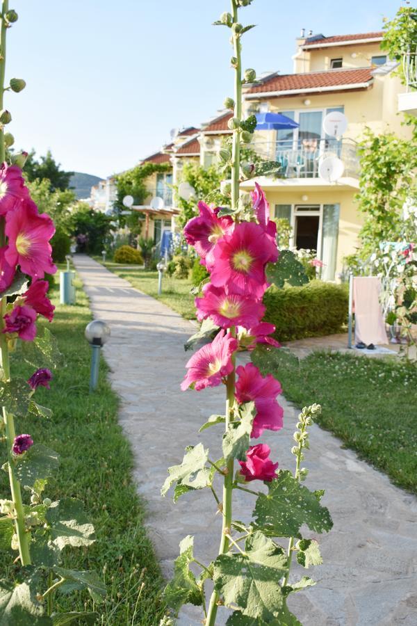 Nushev Hotel Sveti Vlas Exterior foto