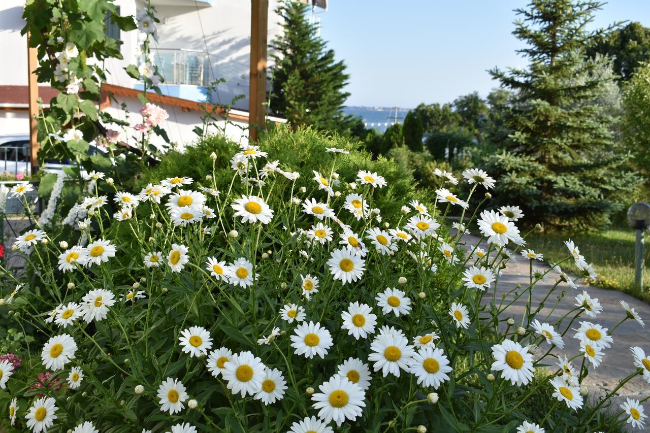 Nushev Hotel Sveti Vlas Exterior foto